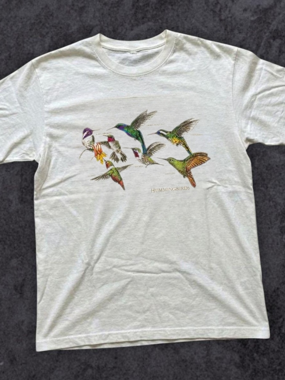 Gildan White Tee with Multi-Color Hummingbird Graphic